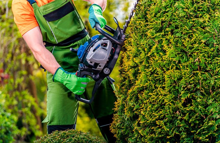 Tree Trimming San Antonio TX