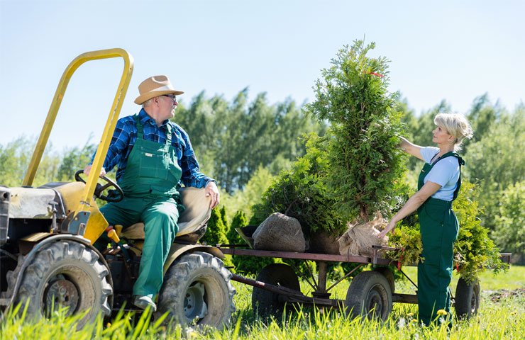 Land Clearing San Antonio tx