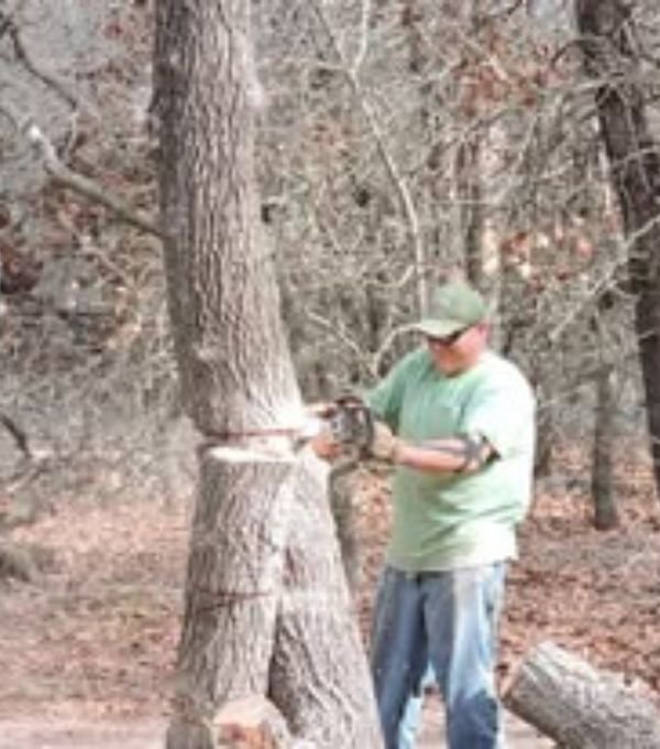 tree-service-trusted-man-field.jpg