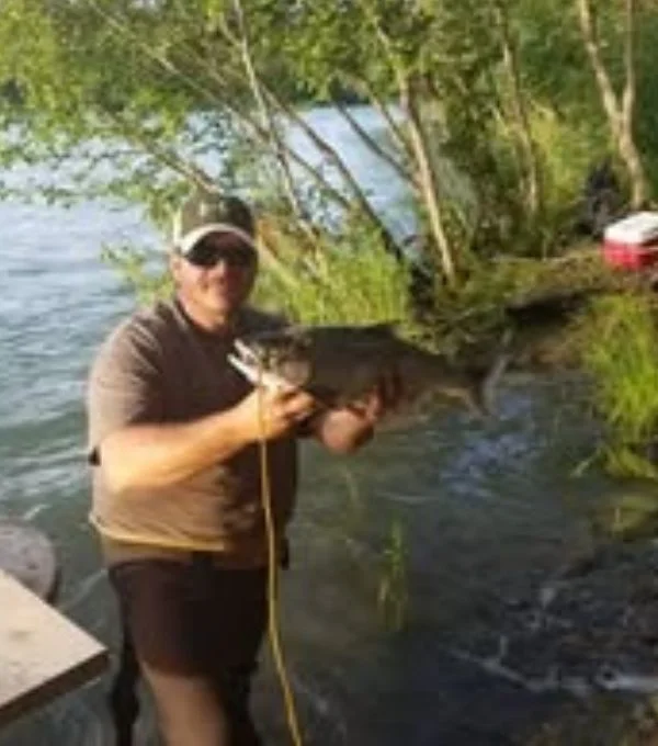 Certified arborist inspecting and maintaining a tree using professional tree care techniques